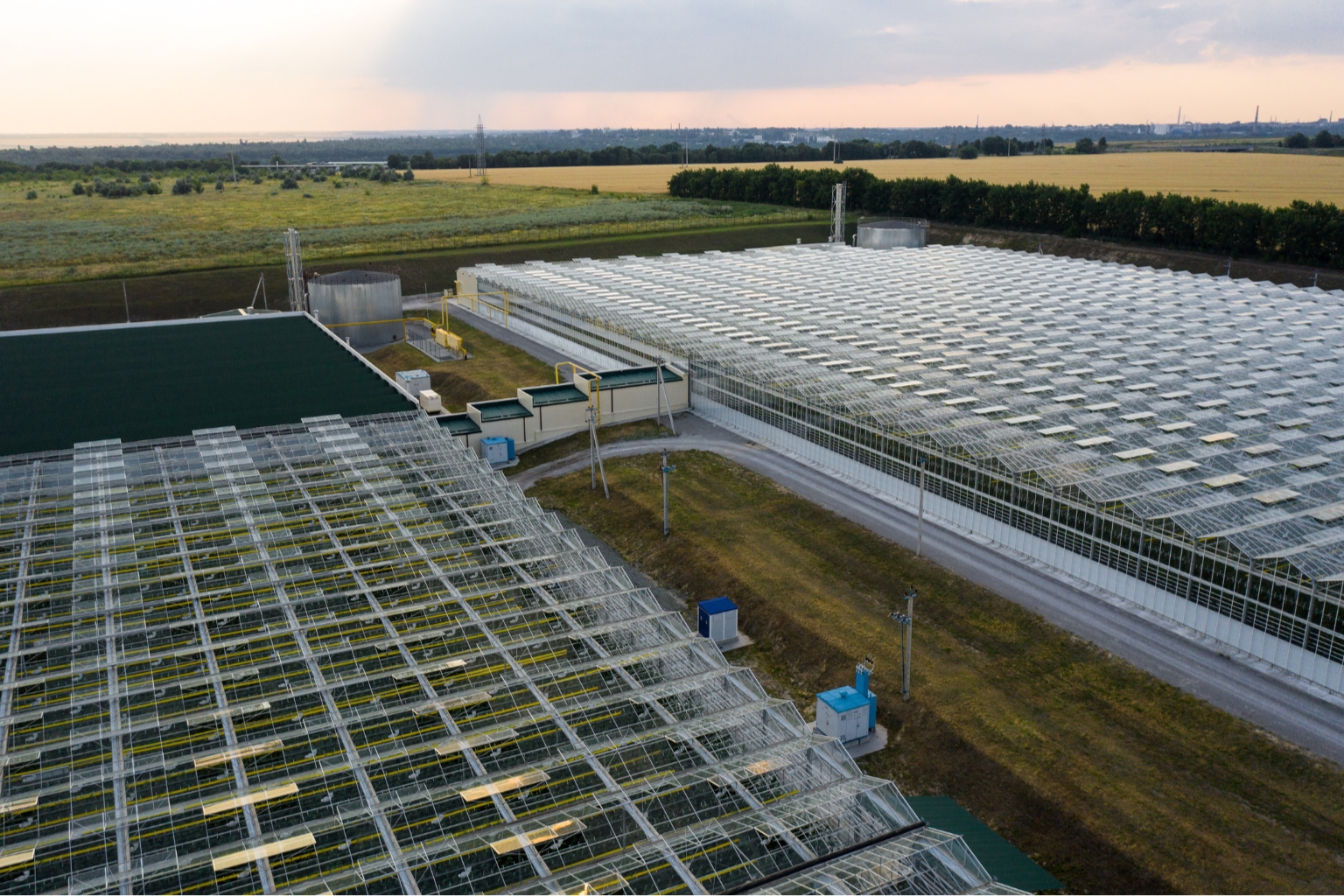 Commercial Greenhouses