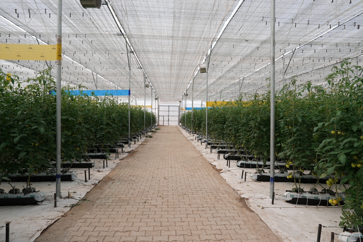 Hydroponics, Aeroponics & Aquaponics