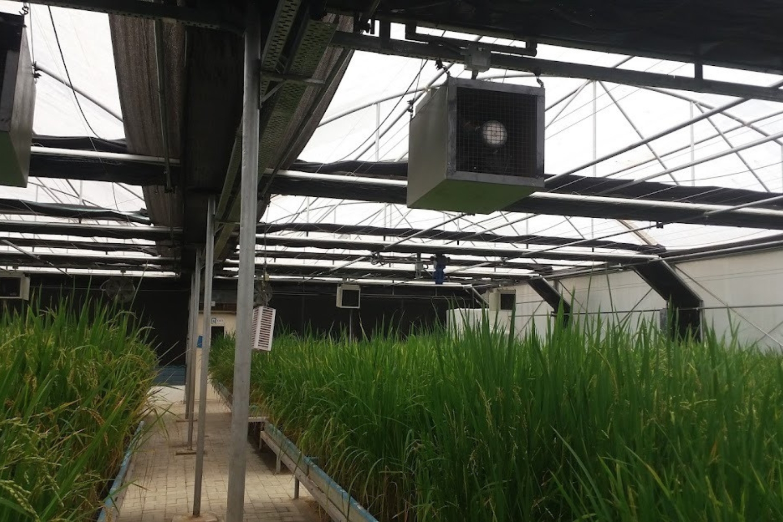 Rapid Generation Chambers