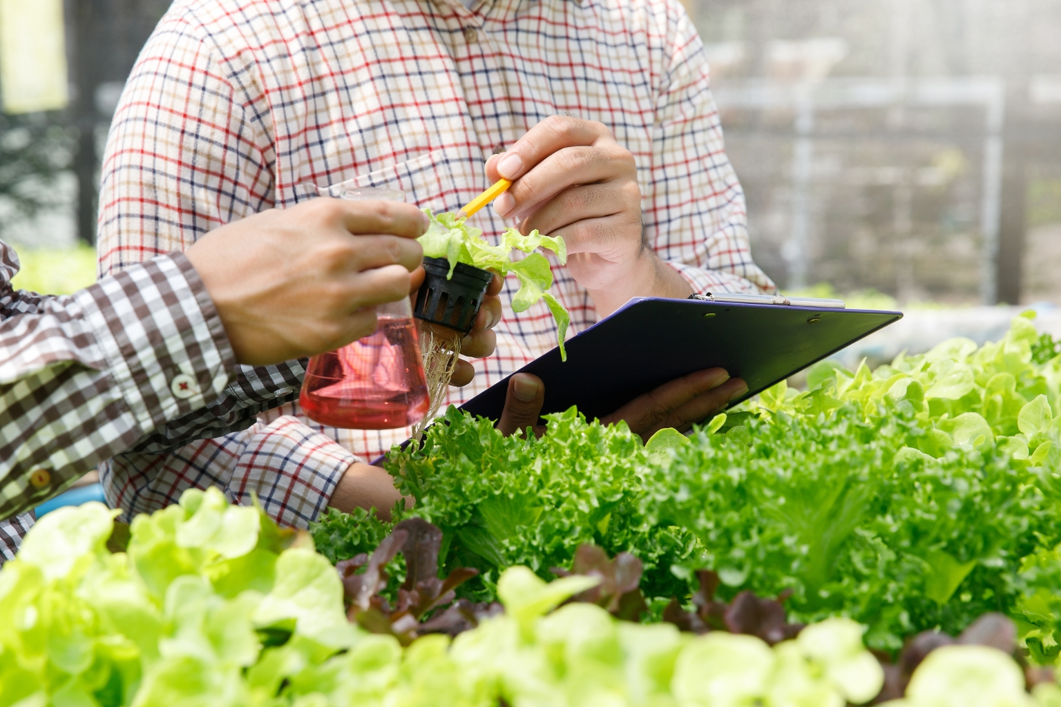 Smart Farming Infrastructure